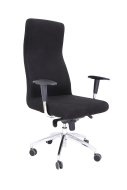 Fauteuil médical REX Plus