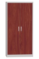 Armoire métallique avec porte stratifiée type SPS 01AL
