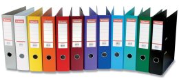 Classeurs à levier tout plastique Esselte 75 mm (11 modèles)